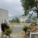 거제~야호~ 대형견도 즐기는 핀란드사우나! 거제애견동반펜션 4인 2견 쏠베르 펜션 방문후기🙌