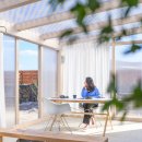 아담 스테이 이미지