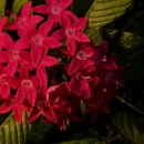 굿아이안경(석촌점) 이미지