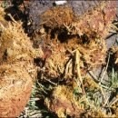 스피디모터스 이미지