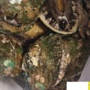 청정바다수산 이미지