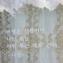 성산읍 고성리마을회관 | 제주도 열흘살이 3일차#나 홀로 걷기#종달리마을#성산일출봉#광치기해변