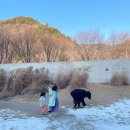 우리로서림 | 무주 감성숙소 서림연가 L5 국내 프라이빗 풀빌라 후기