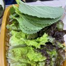 흰고래참가자미횟집 이미지