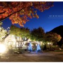 아트인더밸리 이미지