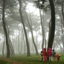 송림자동차정비 이미지