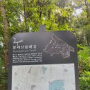 봉제산 등촌동 숲속놀이터 | 강서구 도심 속 고요를 품은 작은 절, 봉제산 법성사 산책기
