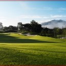 대영정기 이미지