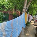 뽀송뽀송세탁 이미지