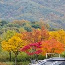 브런치콘서트 청주의봄 | 2025 탁쇼4 영탁콘서트 (청주) 후기