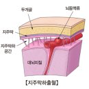 하이으나 이미지