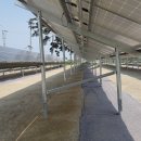 영진태양광발전소 이미지