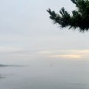 세븐일레븐 울산남진항점 이미지