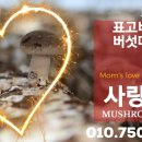 웰빙토속순대