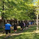 광양중진초등학교 이미지