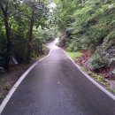 아빠의 정원 이미지