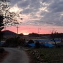 내고2농로 이미지