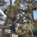 [도로]수원초등학교 앞 | 광교산 시루봉 최단 코스 산행후기