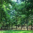 라온혜윰힐링센터 이미지