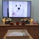 스톤파크