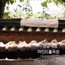 [전남 곡성] 마인드풀 곡성 후기_#3_주 곡성 미각여행 미식여행 추천