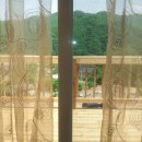 파랑새펜션 이미지