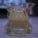 중산사과나무치과병원 이미지