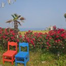 바다의기분풀빌라 이미지