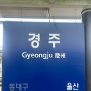 경주산업 | [경주화백컨벤션뷰로/경주 마이스랑 8기] 발대식 후기