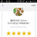 옐로우샤크 이미지