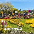 해달푸드 | 태안 국제원예꽃박람회 솔직 후기: 입장료, 개화상황, 주차 꿀팁 총정리