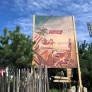 서피비치(surfyy beach)