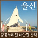 누리길 | 울산 여행 바다와 함께 하는 강동누리길 코스 및 솔직후기
