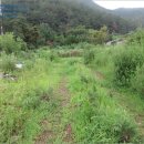 내금마을회관 이미지