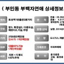 부평부백자연애아파트 네이버블로그