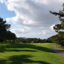 에버스크린골프 이미지