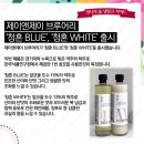 주담터-현대백화점 이미지
