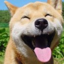 베이비몽 이미지