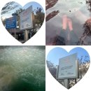 북면130 | 울진 가볼만한곳 / 덕구온천 방문후기 / 국내 온천 추천 / 덕구온천 스파월드 방문후기