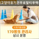 강아지고양이유기견무료말티푸랙돌먼치킨포메라니안