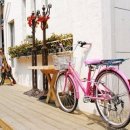 향기고운 이미지