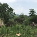 나경농원