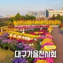 생태와대구 | 대구 서구 꽃구경 가볼만한곳 가을 국화 전시회 서구청 옥상생태공원