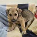 안골로108번길 이미지