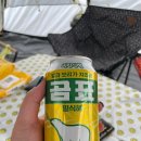 초록슈피아 이미지