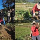 오곡마을(오곡발효마을) 이미지
