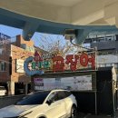 종가집 | 기장 곰장어 맛집 원탑인 종가집 곰장어 후기