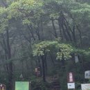 용화산로 | 강원도 화천 용화산을 오르다(최단코스)