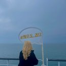 제주연안여객터미널 (제주해양경찰서방면) | [제주도 배편여행] 실버클라우드호ㅣ완도항<->제주항 솔직후기 (자차 차량선적,요금,정보)