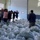 하동농협적량지점 이미지